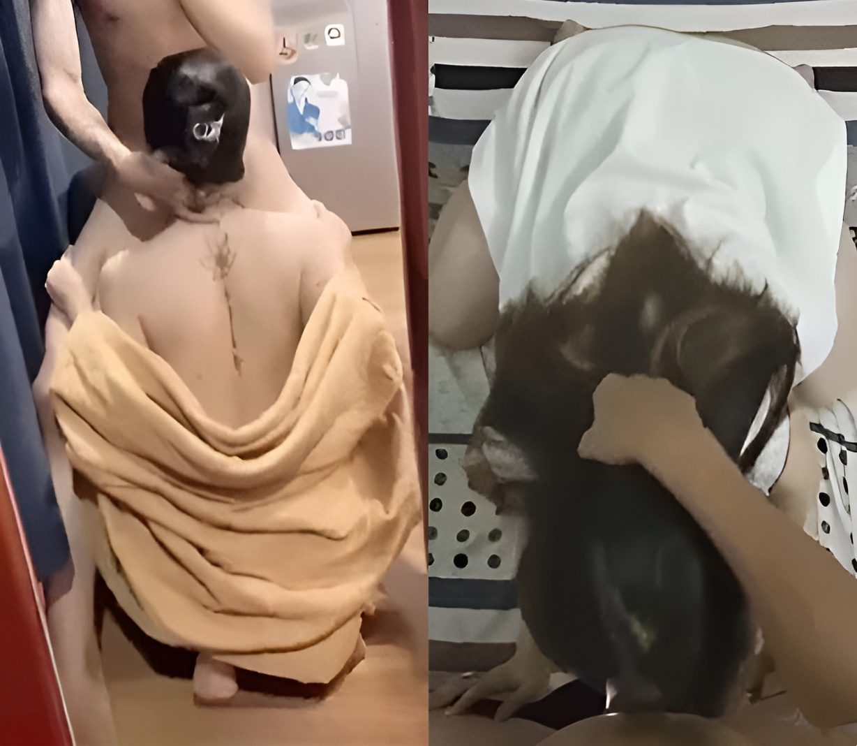 冬天並不冷